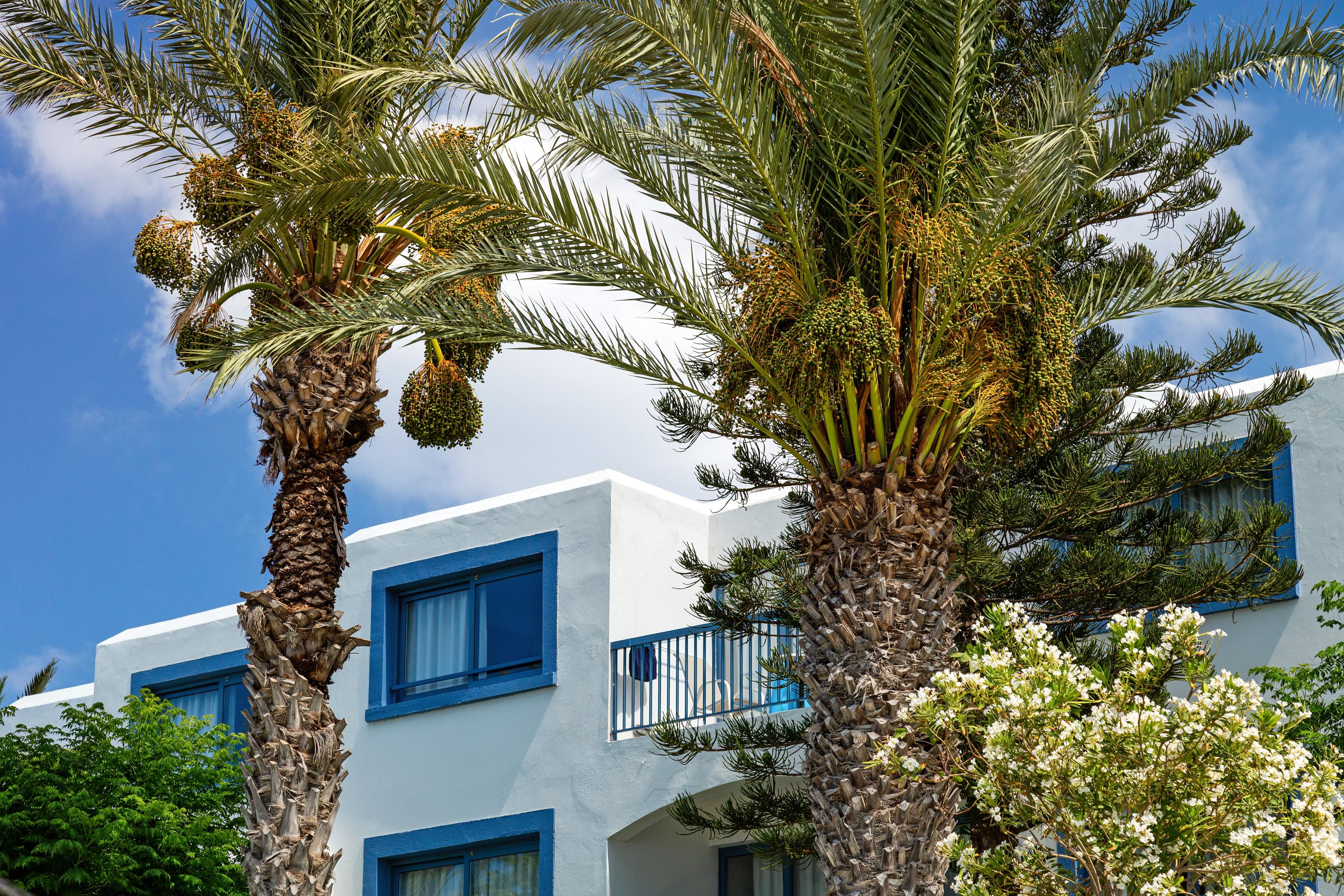 Nausicaa Beach Protaras Ngoại thất bức ảnh