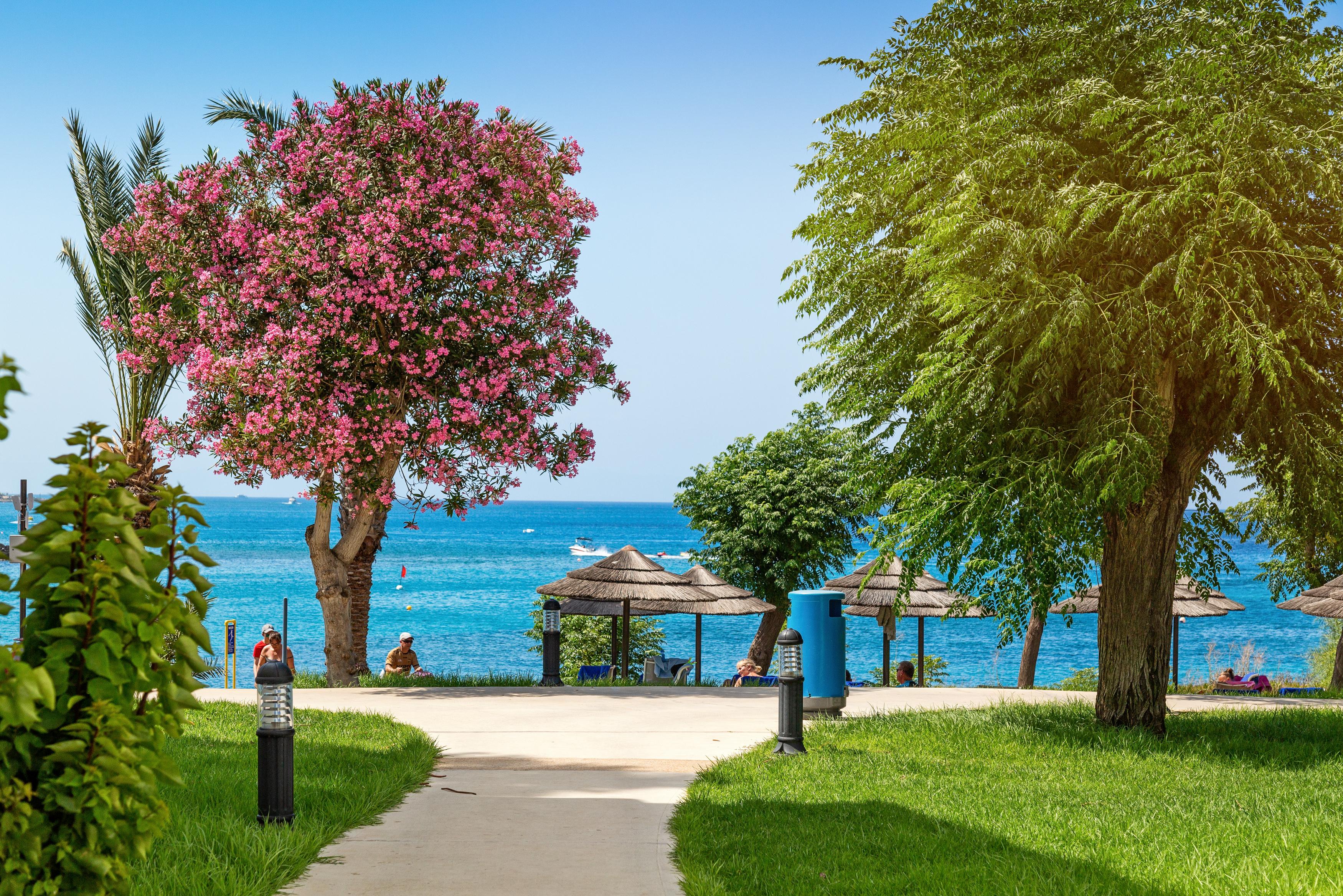 Nausicaa Beach Protaras Ngoại thất bức ảnh
